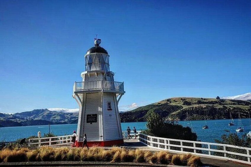 Christchurch To Akaroa Dolphins Day Tour(Including Ticket) 2