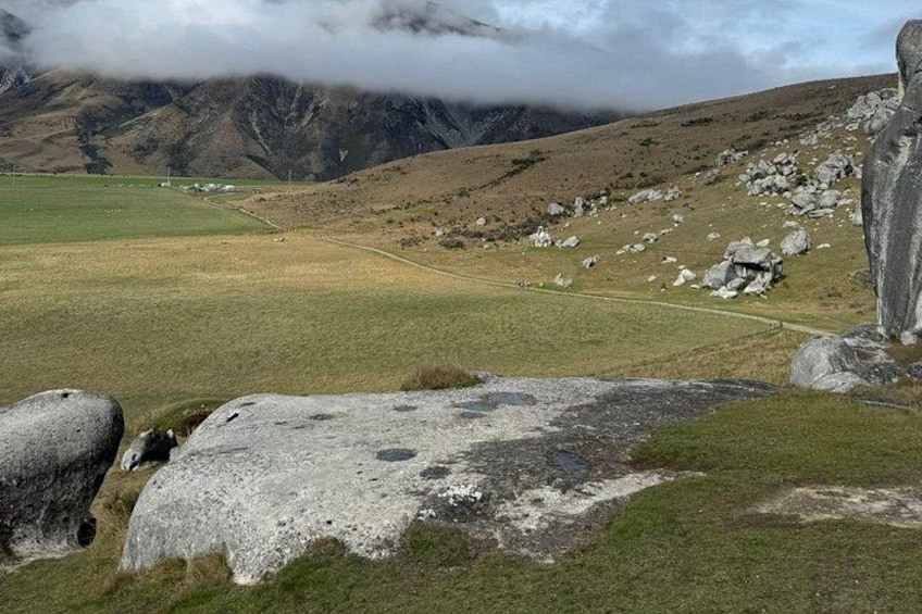 Christchurch To Akaroa Dolphins Day Tour(Including Ticket) 5