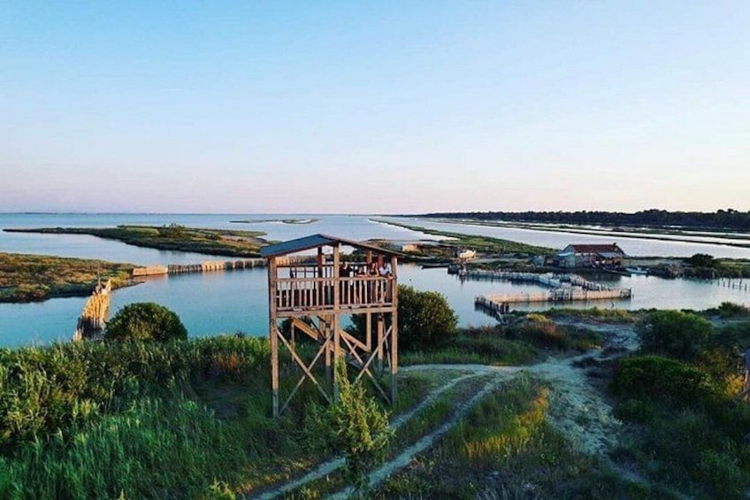 Karavasta Lagoon 4x4 Ride & Ancient Apollonia 2