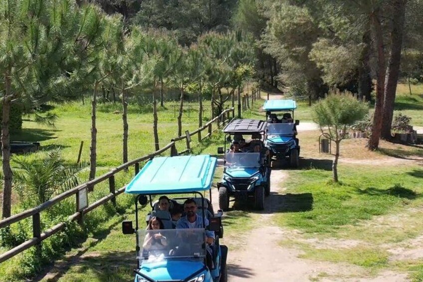 A group of people in a line of vehicles on a dirt path surrounded by trees. 4