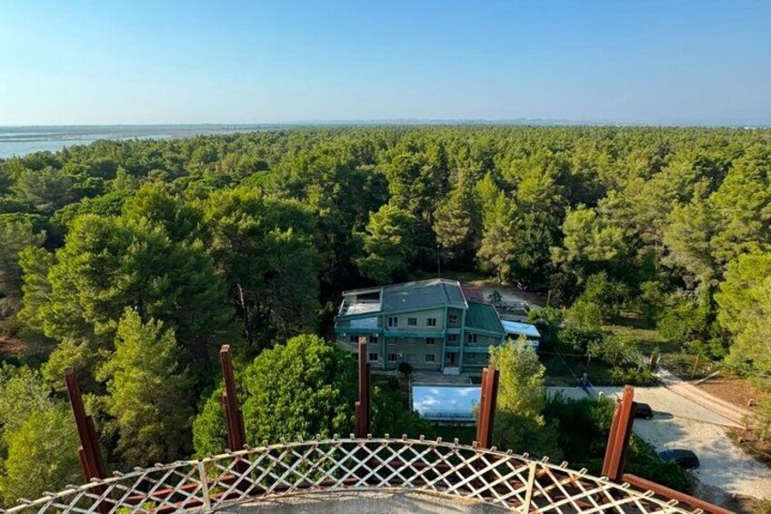 A house surrounded by dense forest, a clear sky, and a distant body of water. 5