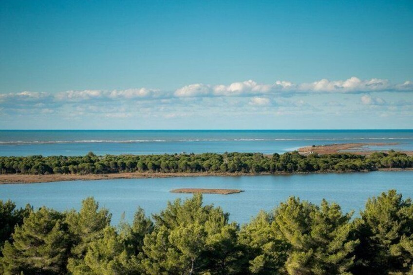 A coastal landscape with a clear sky, a calm sea, and dense green trees in the foreground. 4