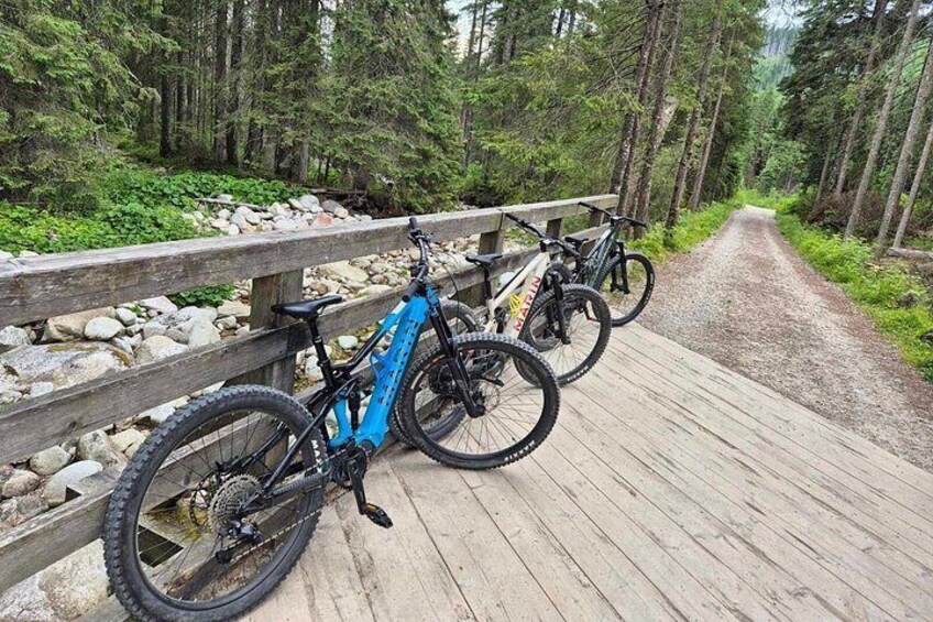Zakopane Electric Mountain Bike and Thermal Baths Tour 5