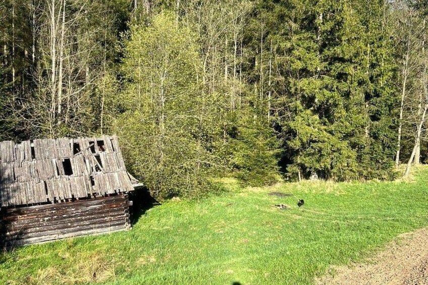 Zakopane Electric Mountain Bike and Thermal Baths Tour 3