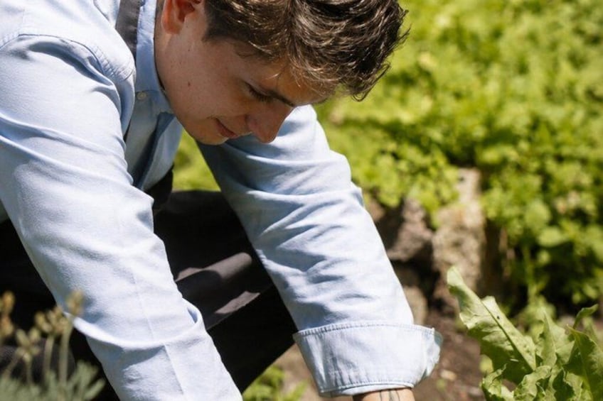 Farm to Table Cooking Experience in San Miguel 4