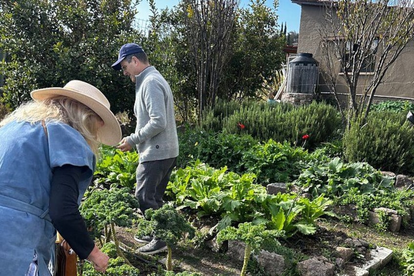 Farm to Table Cooking Experience in San Miguel 2