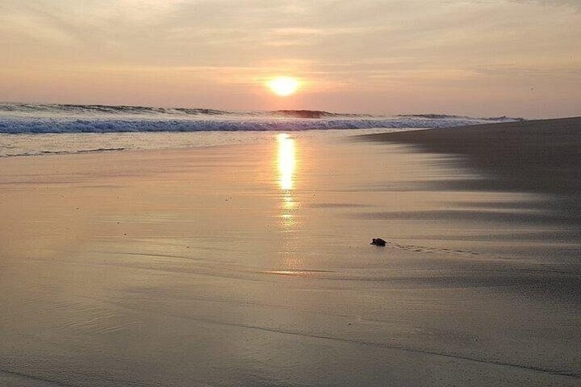 A beach at sunset with waves, a clear sky, and a small object on the sand. 2