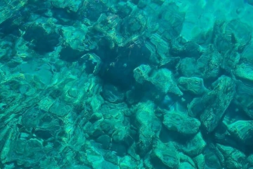 Underwater rocks and marine life. 3
