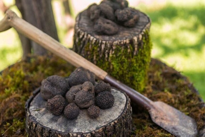 En trädstump med en hög svarta tryfflar och en träsked ovanpå. 3