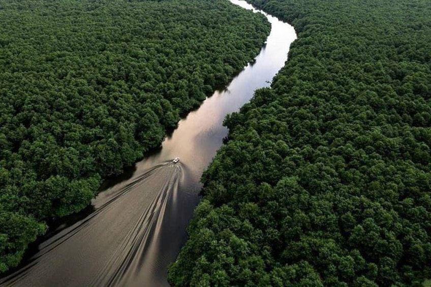 Discover the Georgian Amazon – Tour from Batumi 1