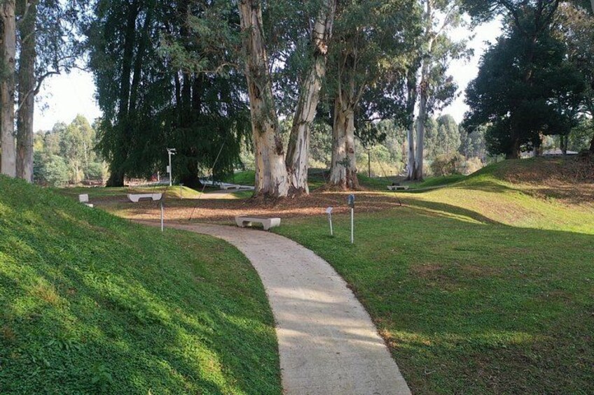 Un parque con un sendero curvo, bancos y árboles grandes. 3