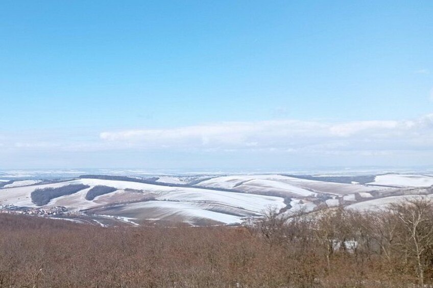 A winter whisper in Pálava’s vineyards – snow arrives seldom, but beautifully. 3