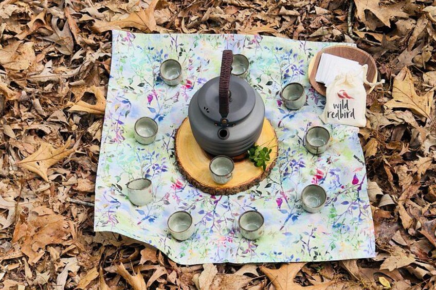 Guided Tropical Forest Therapy Walk in Mauritius 5