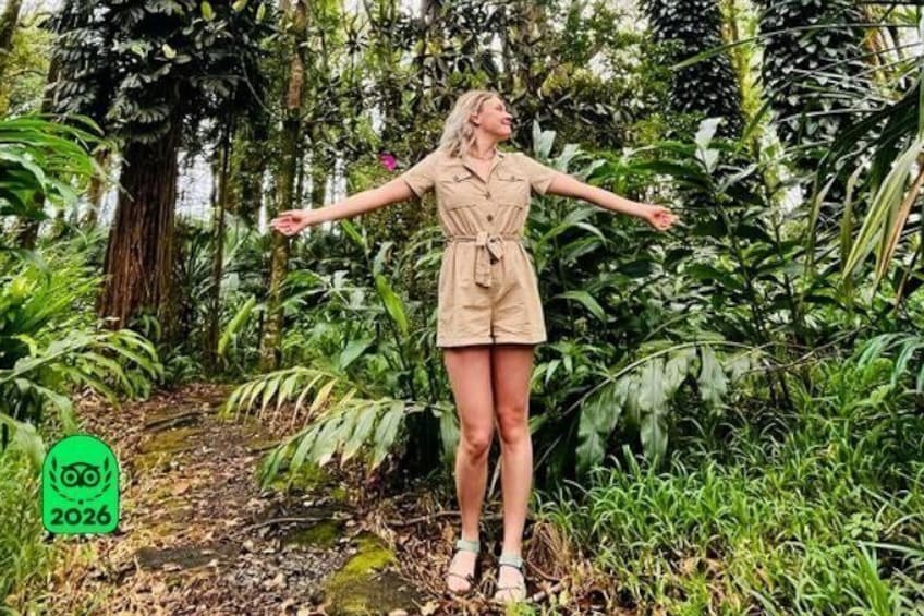 Guided Tropical Forest Therapy Walk in Mauritius 1