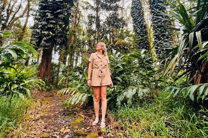 Guided Tropical Forest Therapy Walk in Mauritius 4