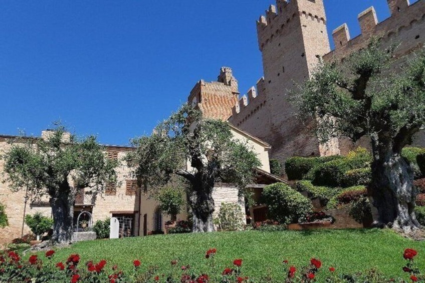 Gradara Walking Wine Tasting Tour 5