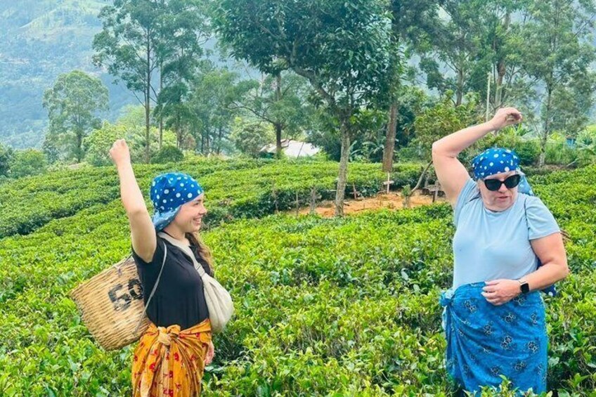 From Galle : Ella Day Trip with Train Ride & Tea Factory Visit 4