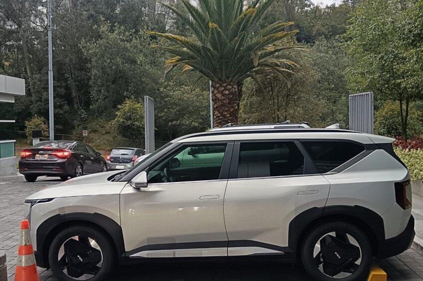 En hvid SUV parkeret på en belagt område med trafikskegler, omgivet af grønt og palmer. 2