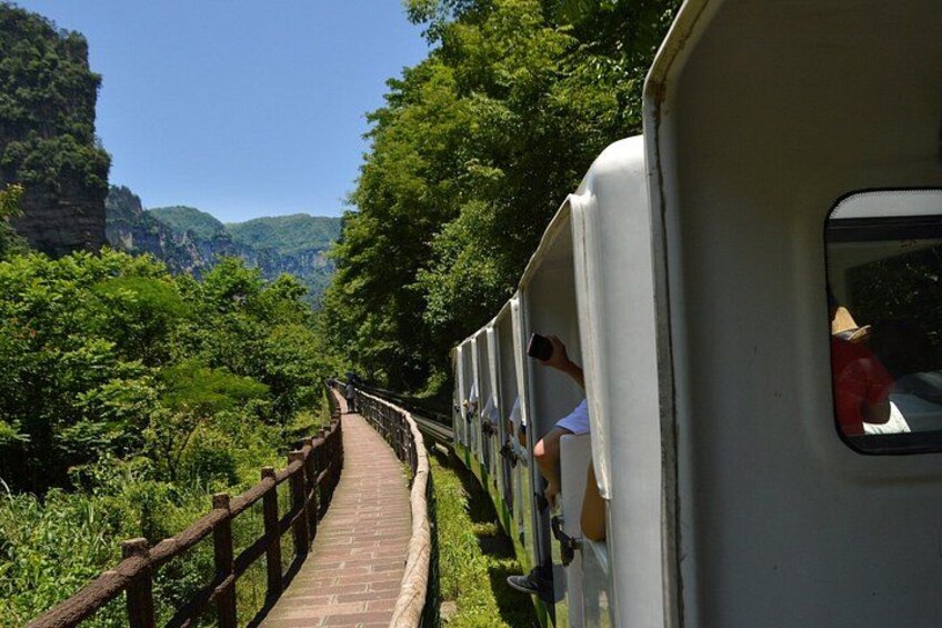 A train on a narrow bridge surrounded by lush greenery and mountains. 5