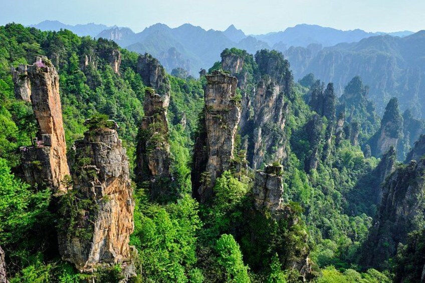 Towering limestone karst formations surrounded by dense green forest. 1