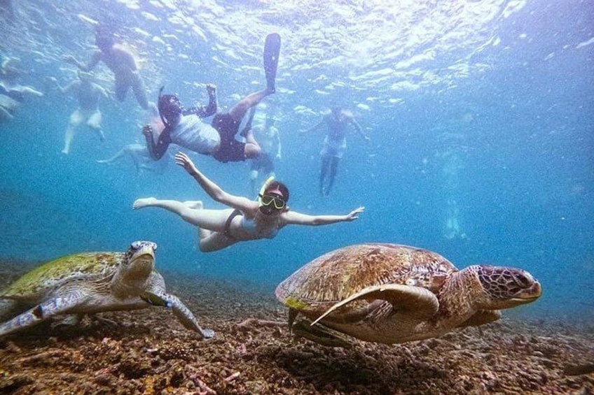 VIP Samui to Nangyuan and TAO adventures Island Tour 5