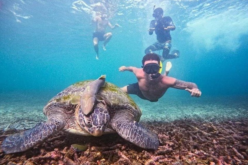 VIP Samui to Nangyuan and TAO adventures Island Tour 2