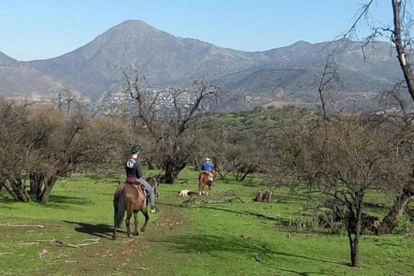 Horseback Riding in Santiago with Andes Views and Hotel Pickup 3