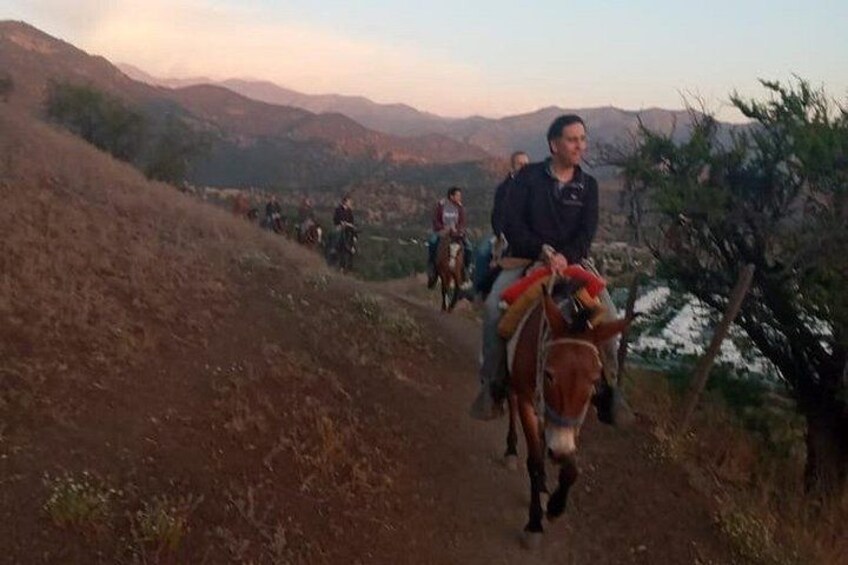 Horseback Riding in Santiago with Andes Views and Hotel Pickup 5