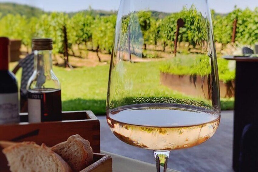 A glass of white wine with a vineyard in the background. 4