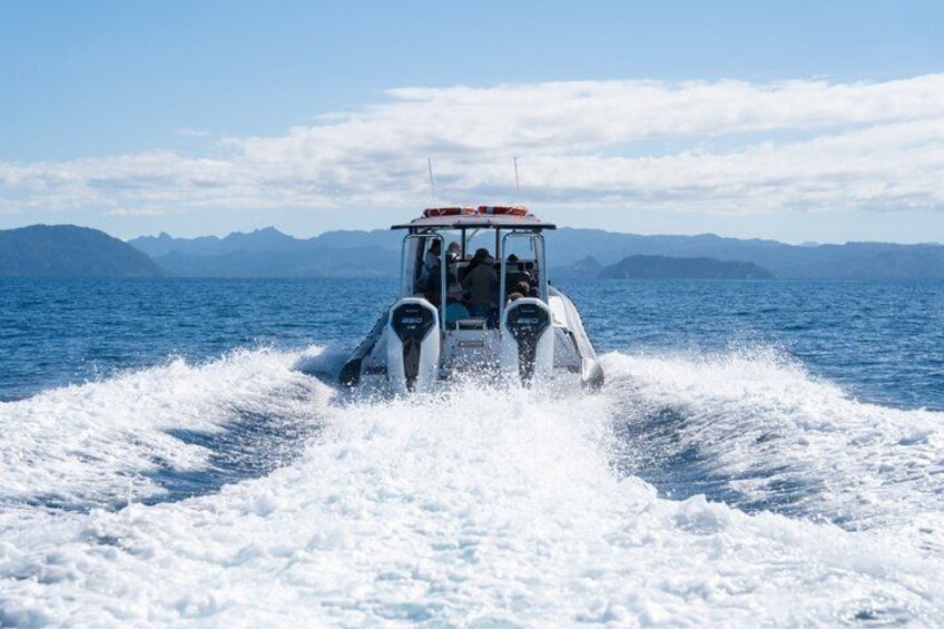 A boat speeding across the water with mountains in the background. 2