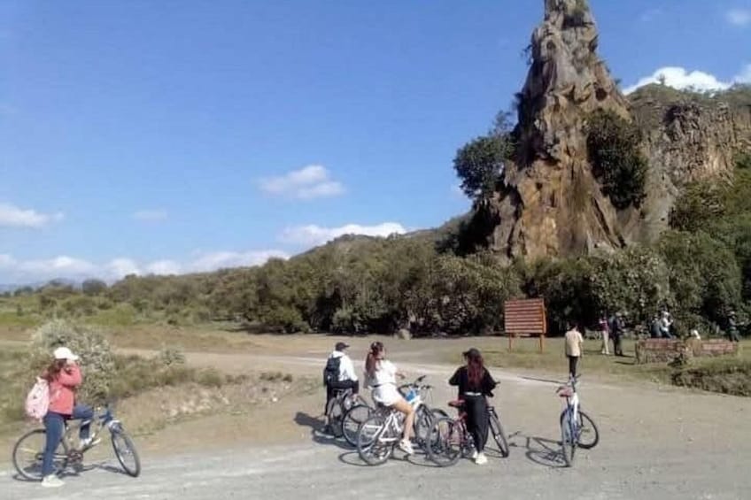 cycling safari in the park 2