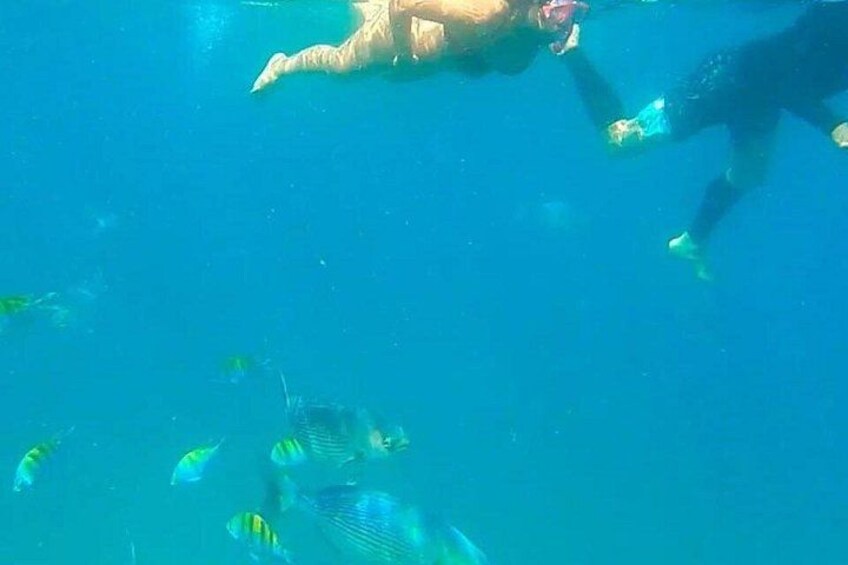 Punta Mita Fishing Experience and Snorquel at Secluded Reefs 4