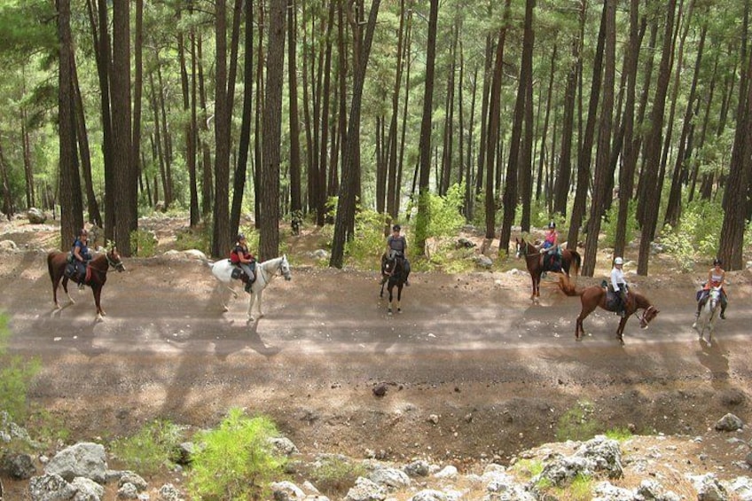 Bodrum Horse Safari 4