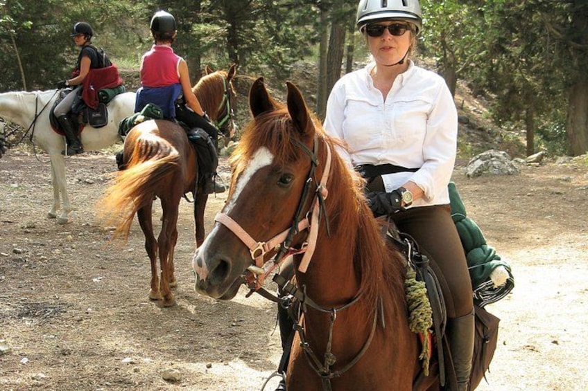 Bodrum Horse Safari 2