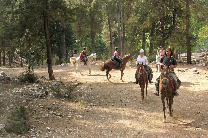 Bodrum Horse Safari 5