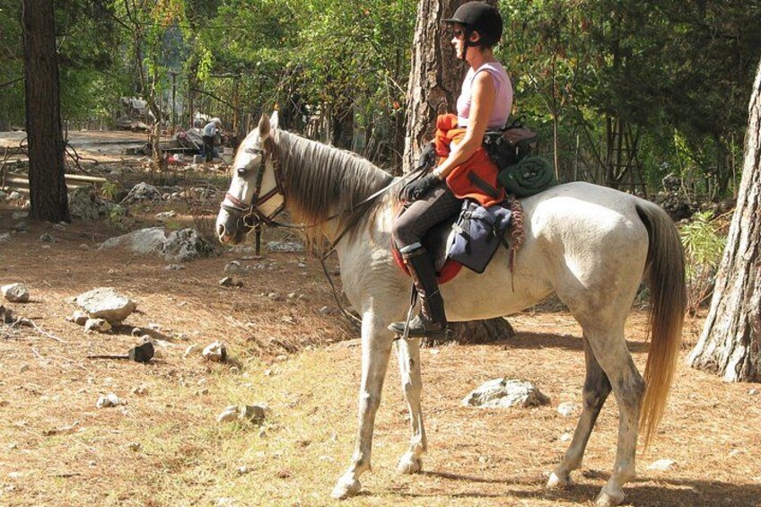 Bodrum Horse Safari 2