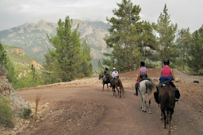 Bodrum Horse Safari 1