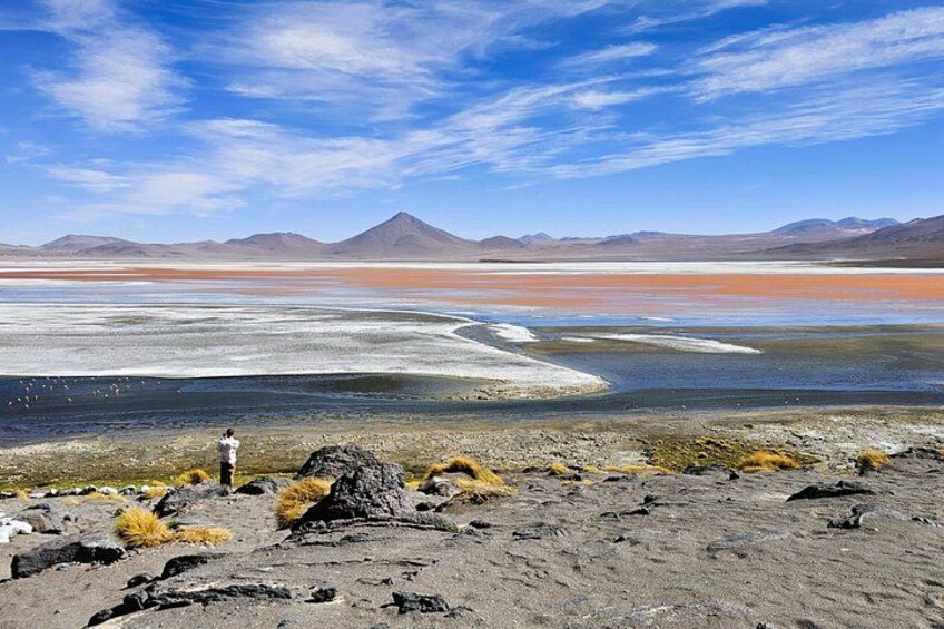 3-Day Salt Flats, Lagoons and Geysers from Uyuni to San Pedro 2