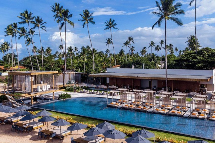 A poolside area with lounge chairs and umbrellas, surrounded by palm trees. 4
