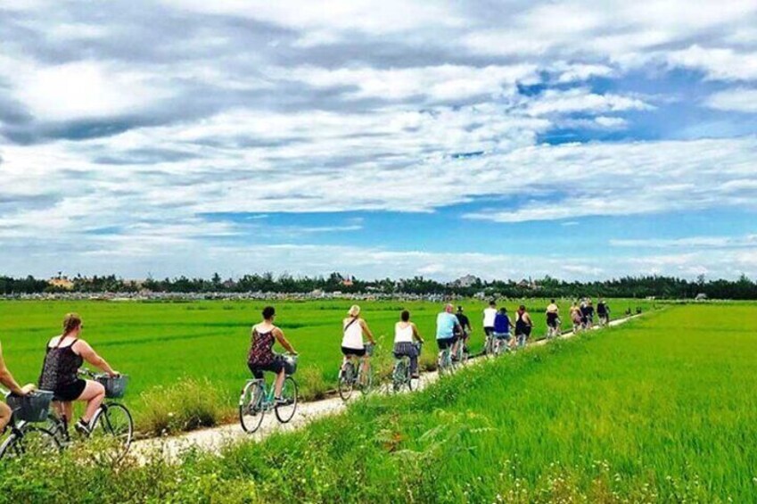 A group of cyclists on a narrow path through a green field. 4