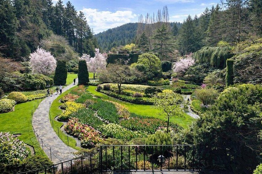 A landscaped garden with a winding path, neatly trimmed bushes, and flowering trees. 1