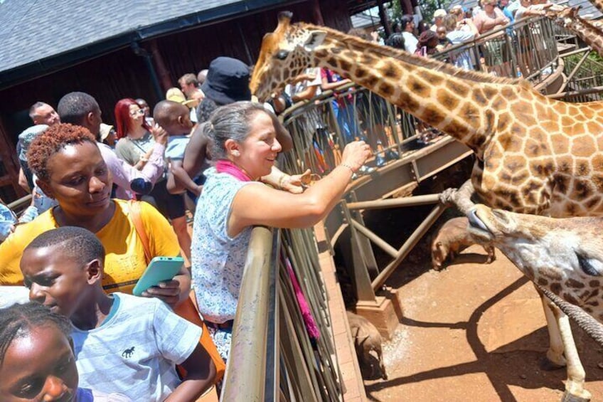 A giraffe feeding at a zoo enclosure with visitors watching. 1