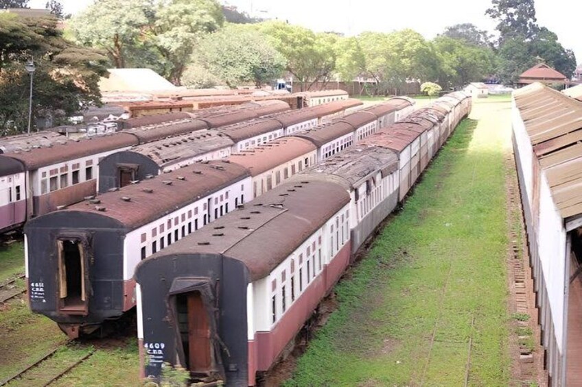 Una hilera de trenes antiguos y oxidados estacionados sobre rieles en un área cubierta de hierba. 3