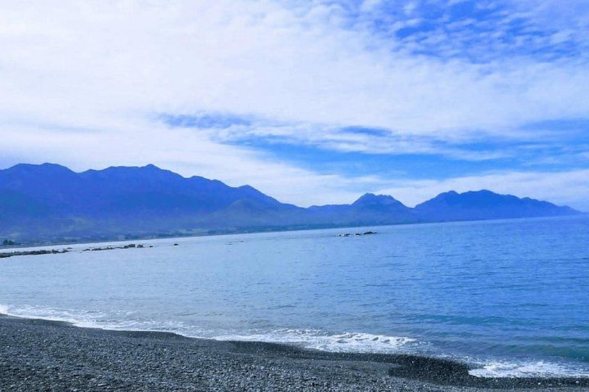 Christchurch To Kaikoura Whale Watch Tour (Including Ticket) 5