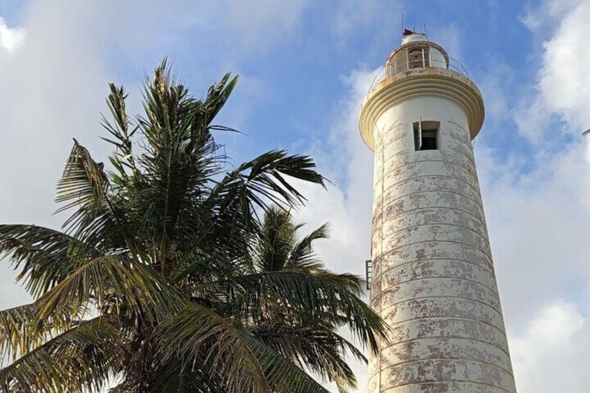 Un faro alto y desgastado por la intemperie, con una pequeña ventana y una bandera en la cima, rodeado de palmeras. 5