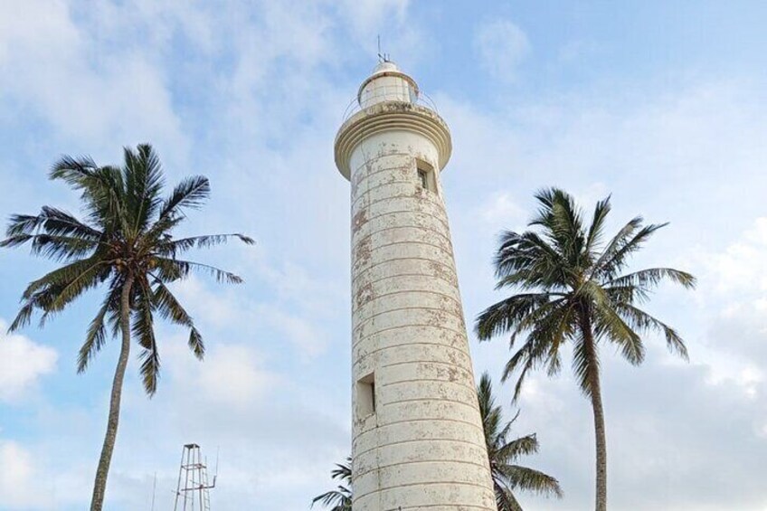 Un faro alto y cilíndrico con una parte superior redondeada, rodeado de palmeras. 4