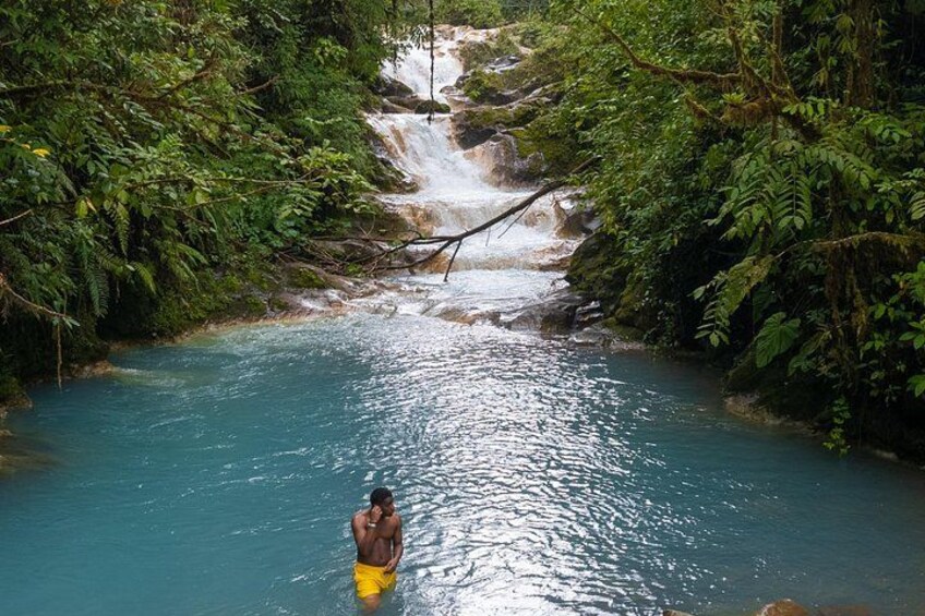 Discover the Magical Blue Falls in a Day Trip Adventure 1