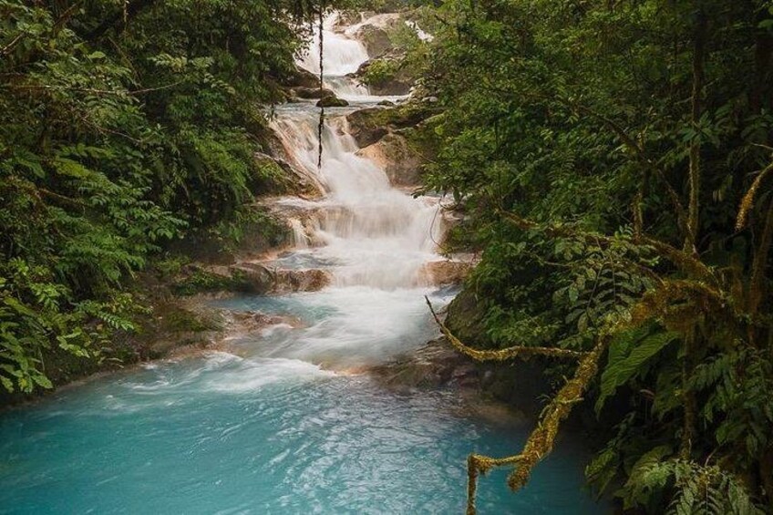 Discover the Magical Blue Falls in a Day Trip Adventure 2