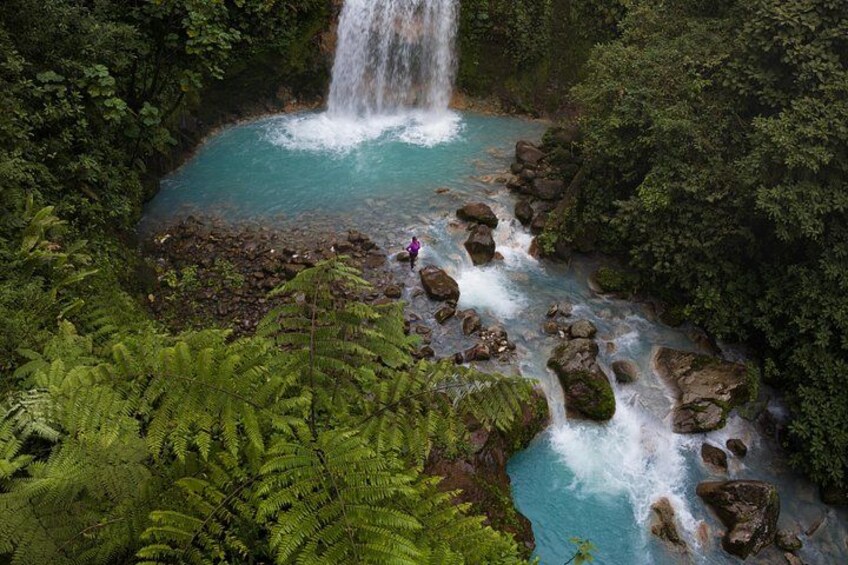 Discover the Magical Blue Falls in a Day Trip Adventure 3