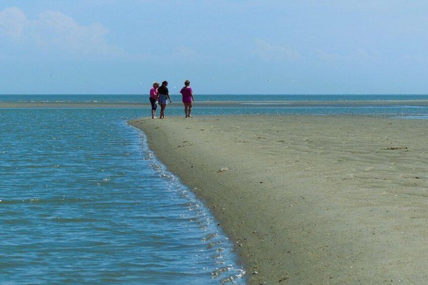 Explore at your pace, discovering the hidden treasures of the sandbar 3